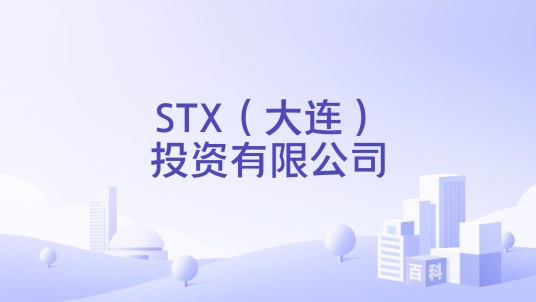 STX（大连）投资有限公司