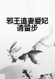 邪王追妻爱妃请留步