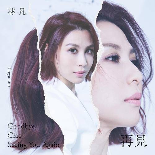 再见（林凡2021年发行的歌曲）
