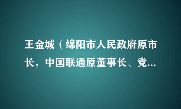 王金城（绵阳市人民政府原市长，中国联通原董事长、党组书记）