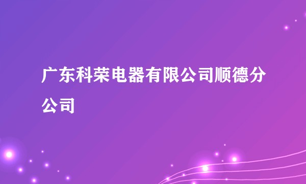 广东科荣电器有限公司顺德分公司