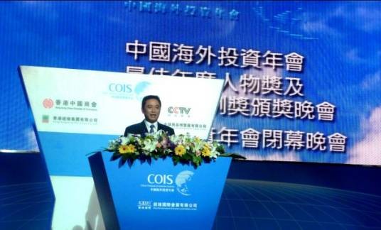 中国海外投资年度人物
