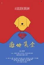 遍地黄金(中国大陆2012年王晓光主演的微电影)