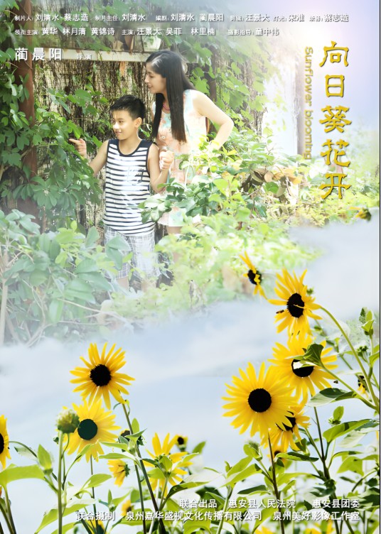 向日葵花开（2014年蔺晨阳执导的公益电影）