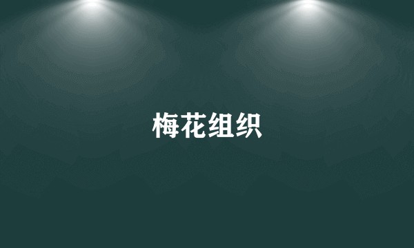 梅花组织