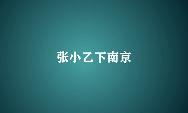 张小乙下南京
