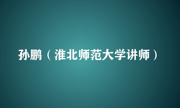 孙鹏（淮北师范大学讲师）