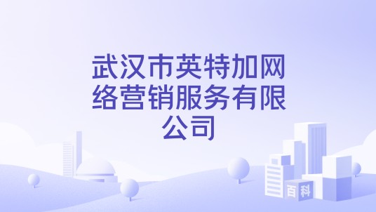 武汉市英特加网络营销服务有限公司