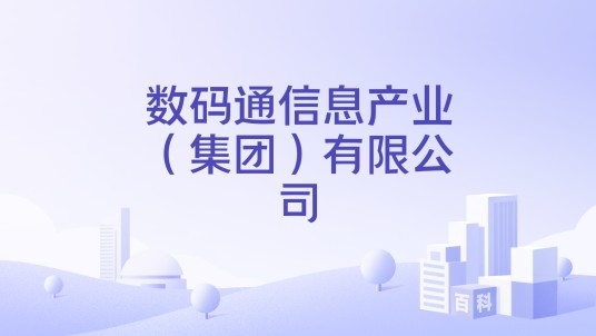 数码通信息产业(集团)有限公司
