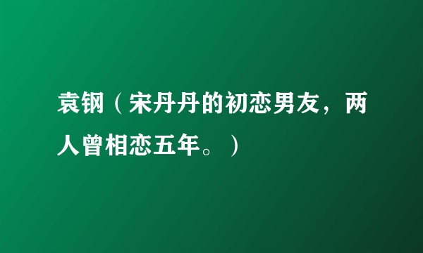 袁钢（宋丹丹的初恋男友，两人曾相恋五年。）