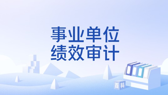 事业单位绩效审计