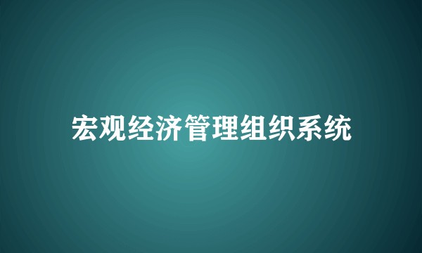 宏观经济管理组织系统
