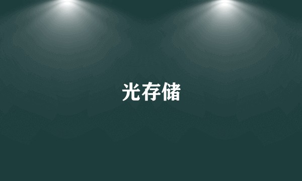 光存储