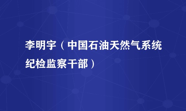 李明宇（中国石油天然气系统纪检监察干部）
