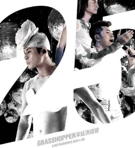 2010草蜢东莞演唱会