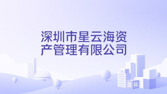 深圳市星云海资产管理有限公司
