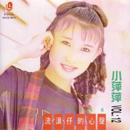 真心真意过一生（吴泓君演唱的闽南语歌曲）