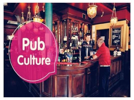 pub(电子文档格式)
