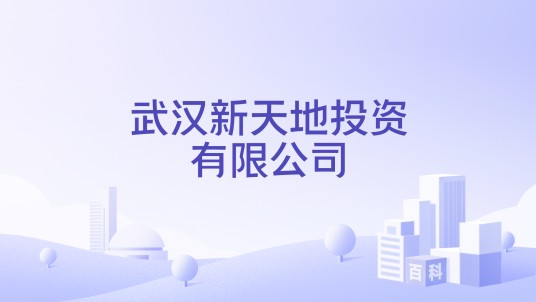 武汉新天地投资有限公司