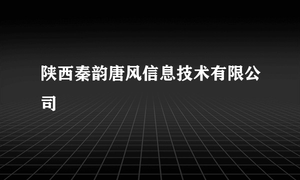 陕西秦韵唐风信息技术有限公司