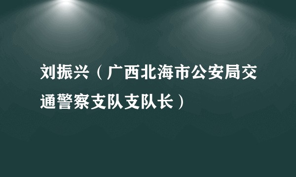 刘振兴（广西北海市公安局交通警察支队支队长）