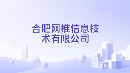 合肥网推信息技术有限公司