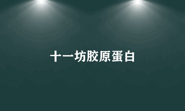 十一坊胶原蛋白