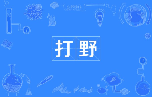 打野(四川方言中表示打零工、兼职的文化术语)