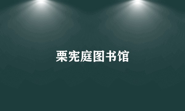 栗宪庭图书馆