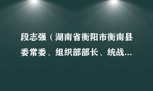 段志强（湖南省衡阳市衡南县委常委、组织部部长、统战部部长）
