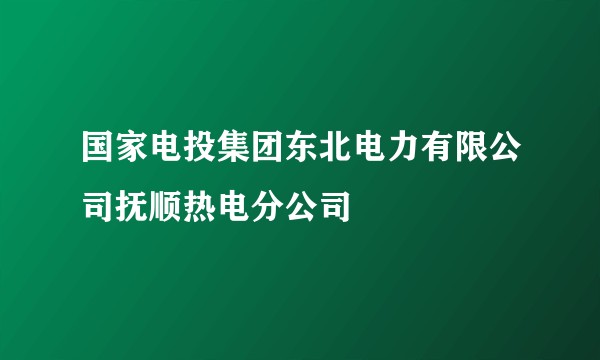 国家电投集团东北电力有限公司抚顺热电分公司