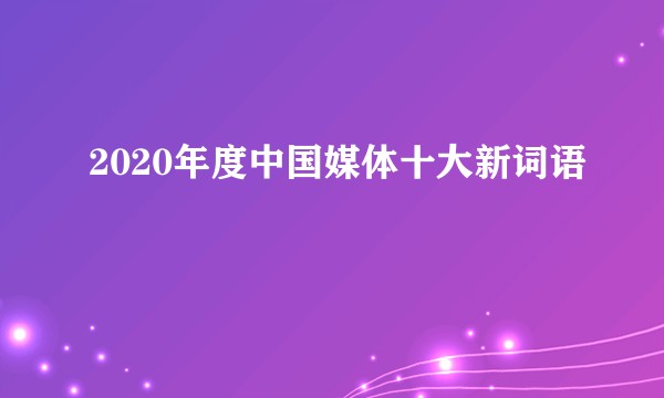 2020年度中国媒体十大新词语