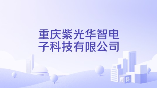 重庆紫光华智电子科技有限公司