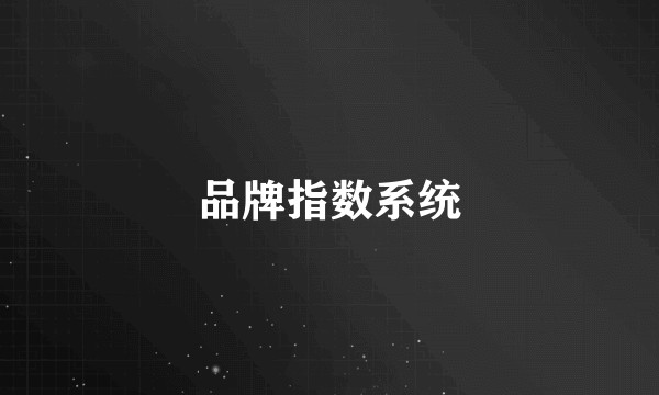 品牌指数系统
