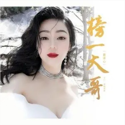 榜一大哥(娄译心演唱单曲)