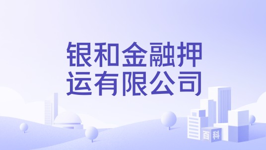 银和金融押运有限公司