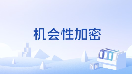 机会性加密