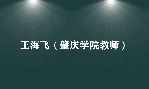 王海飞（肇庆学院教师）