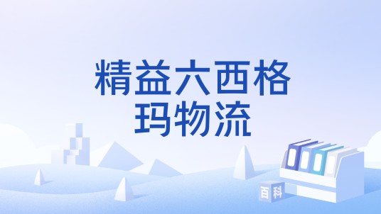 精益六西格玛物流