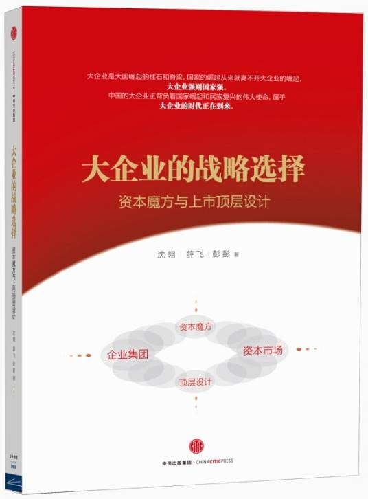 大企业的战略选择：资本魔方与上市顶层设计