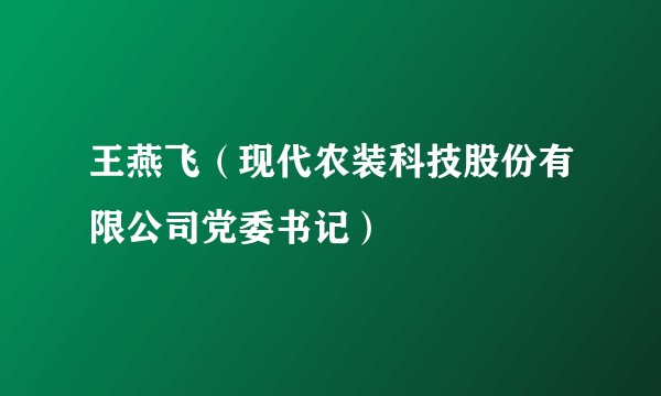 王燕飞（现代农装科技股份有限公司党委书记）