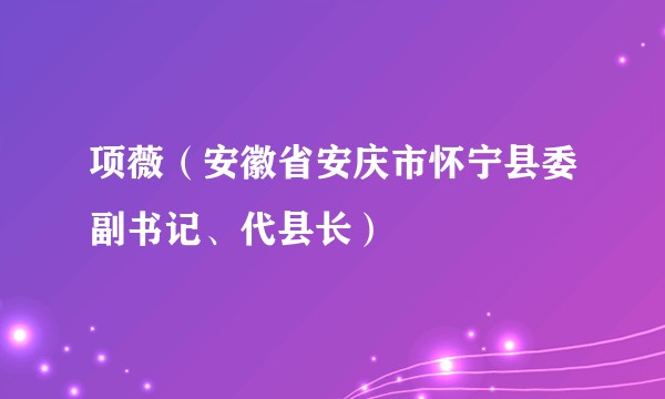 项薇（安徽省安庆市怀宁县委副书记、代县长）