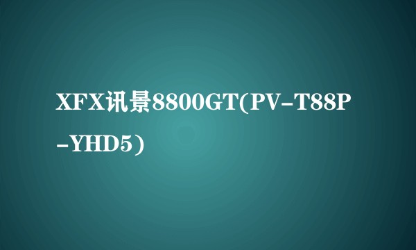 XFX讯景8800GT(PV-T88P-YHD5)