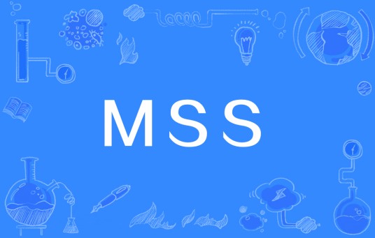 MSS（移动通信系统的核心交换组件）