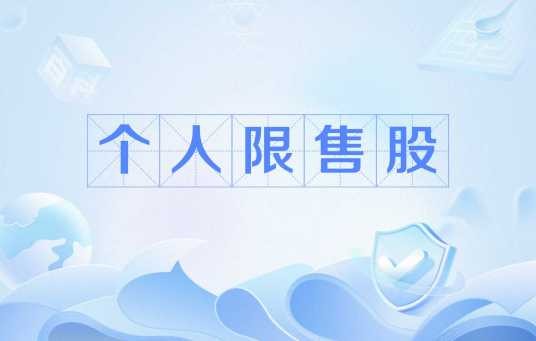 个人限售股