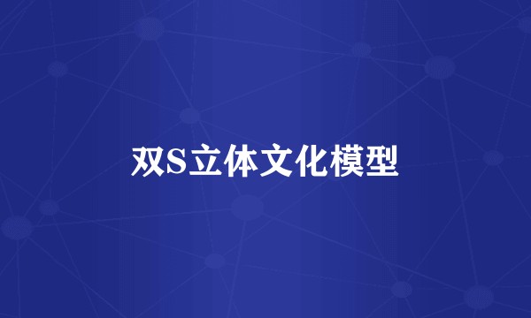 双S立体文化模型