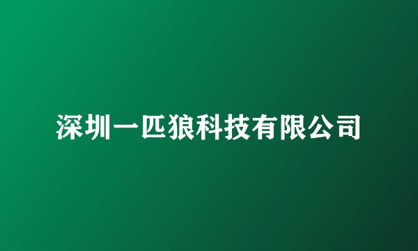深圳一匹狼科技有限公司
