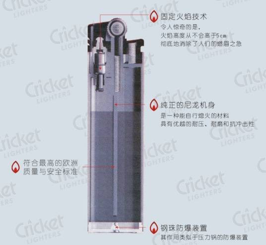 Cricket（英语单词）