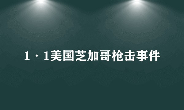 1·1美国芝加哥枪击事件