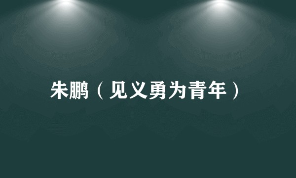 朱鹏（见义勇为青年）